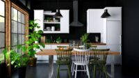 Plants kitchen kitchens completehome liven articles