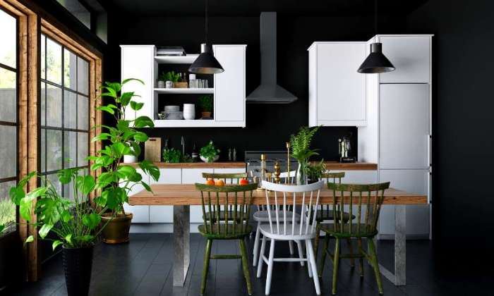 Plants kitchen kitchens completehome liven articles