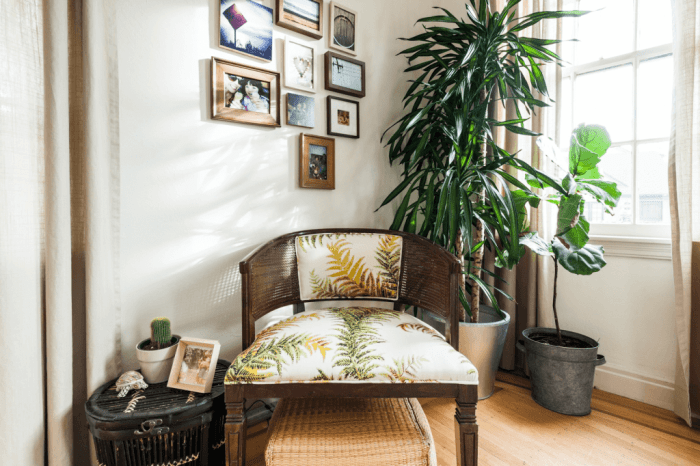 Plants decor stylish convince decorate homes these will