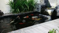 Taman minimalis dengan kolam ikan low budget