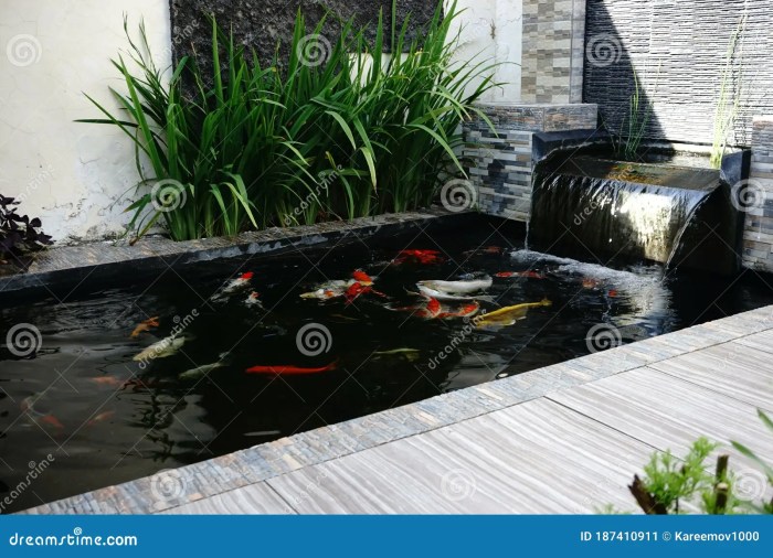 Taman minimalis dengan kolam ikan low budget